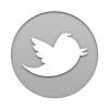 twitter icon